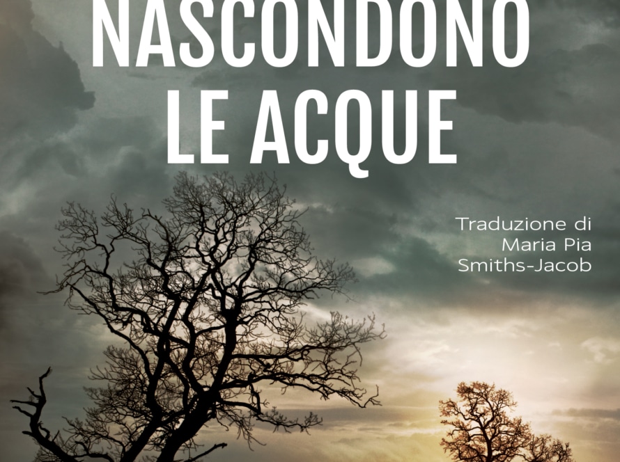 Libro Quello che nascondono le acque di Damien Boyd - Indomitus Publishing